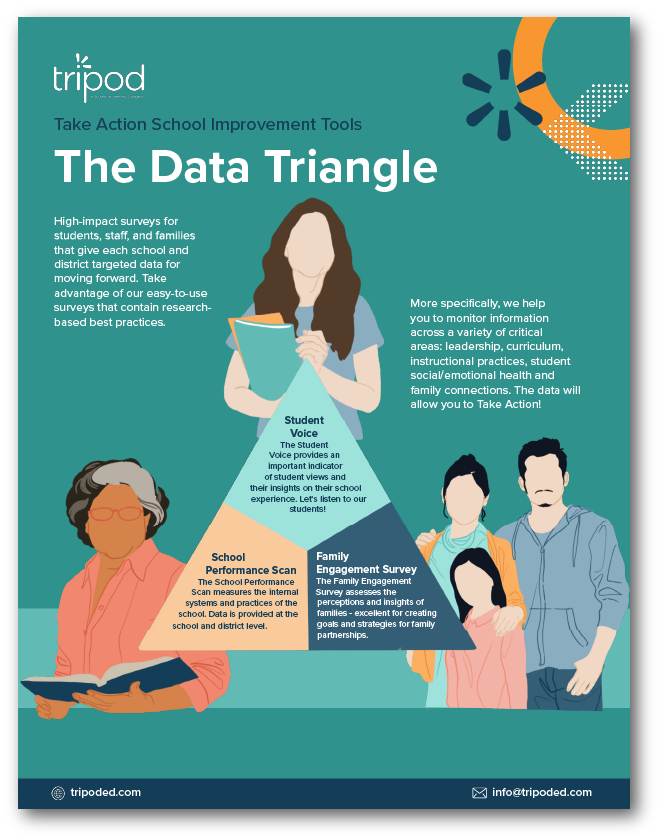 The Data Triangle Overview cover